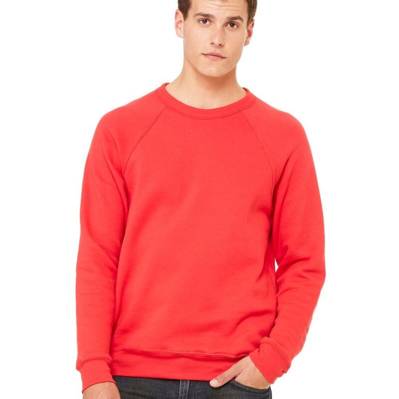 Sponge Fleece Raglan Crewneck Sweatshirt Thumbnail